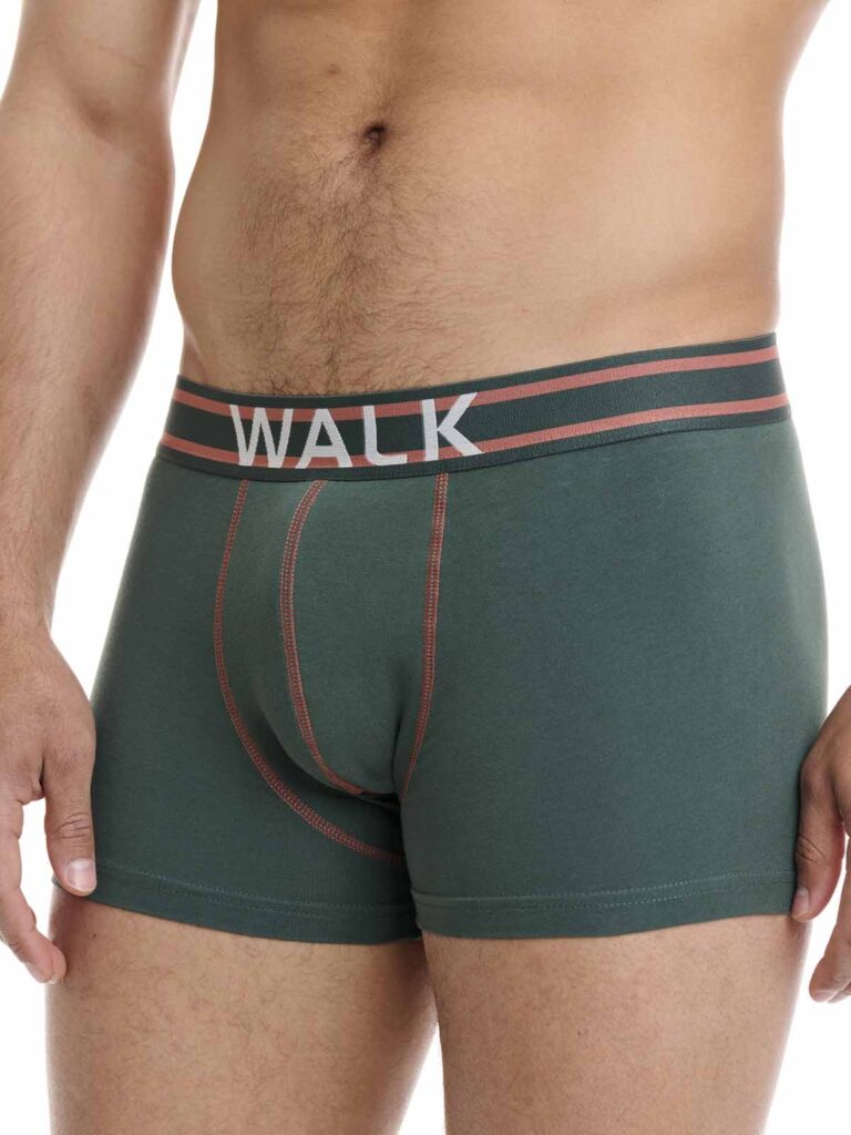 Βαμβακερά boxer WALK ανδρικά 2 τεμάχια W1762-3/24s 4059