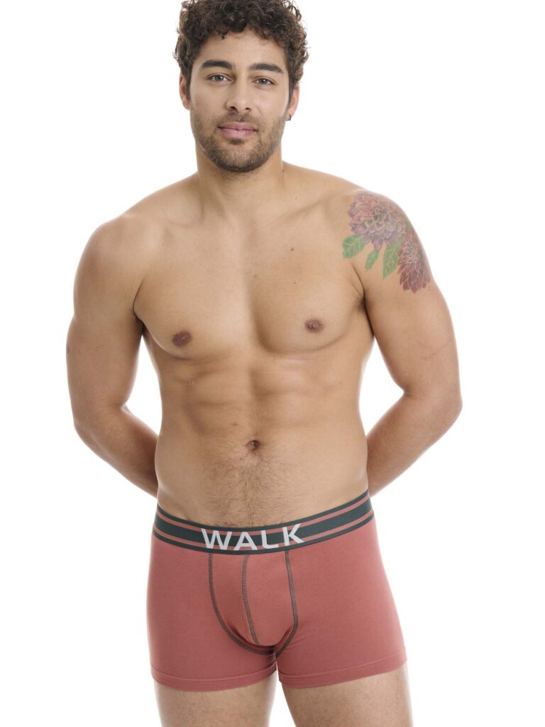 Βαμβακερά boxer WALK ανδρικά 2 τεμάχια W1762-3/24s 4059