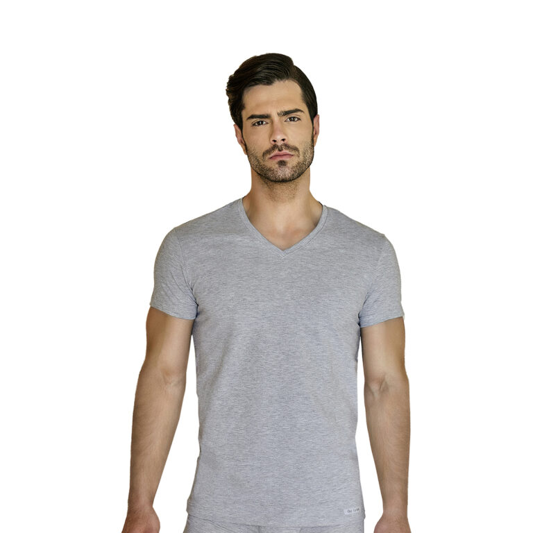 Guy Laroche T-Shirt "V-neck". Ανδρικό T-Shirt βαμβάκι-ελαστάν 3106 γκρι